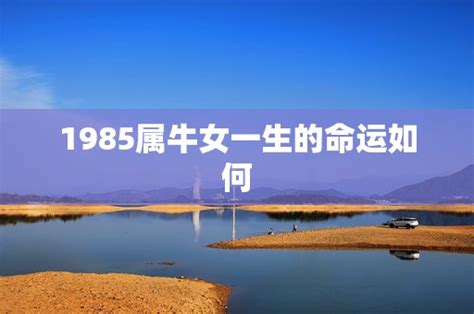 1985年是什么命|1985年出生是什么命运？什么五行？